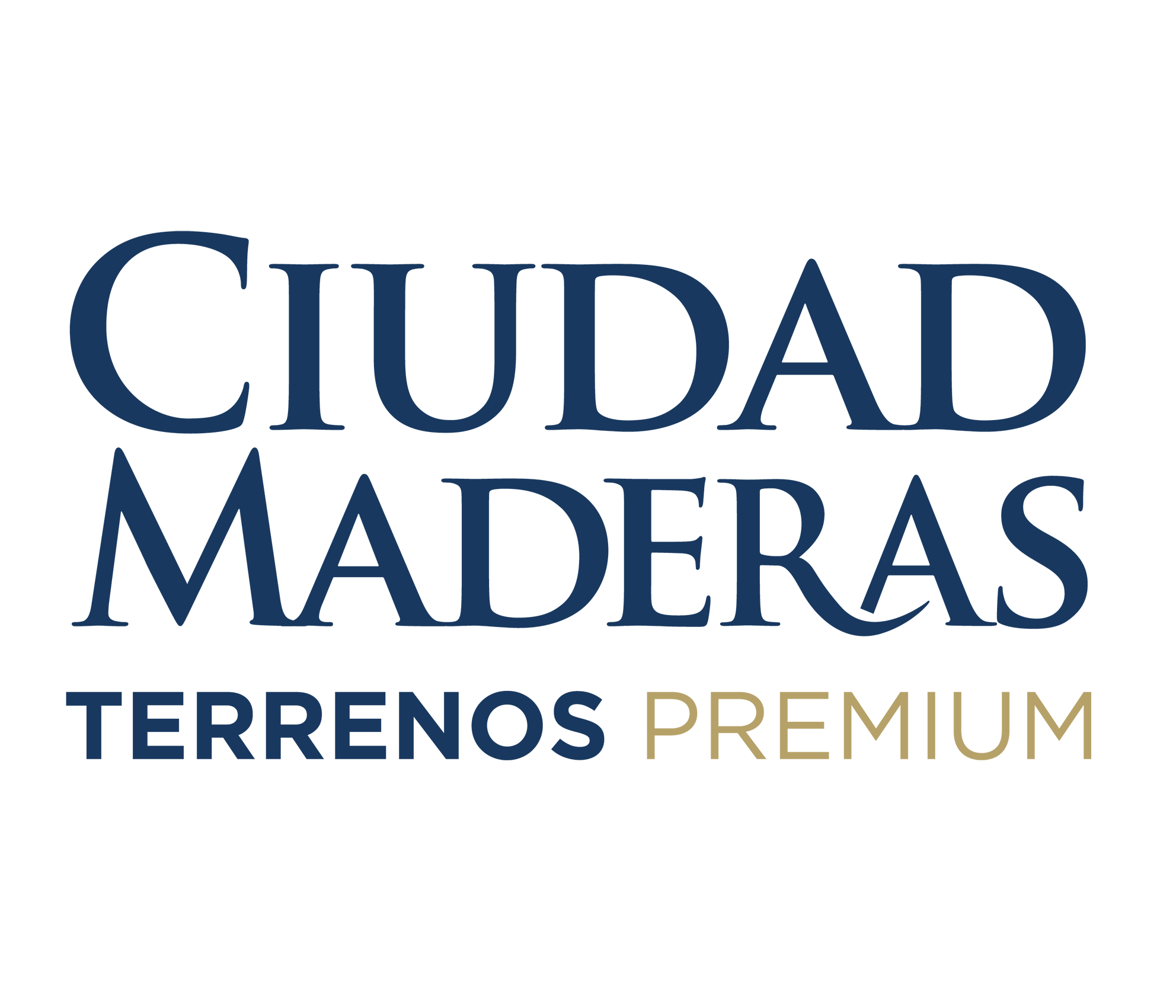 Ciudad Maderas